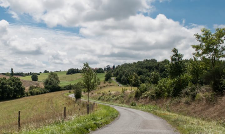 Vías para asegurar el financiamiento federal rural Pathways to Securing Rural Federal Funding